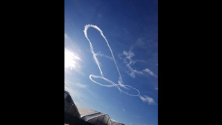 Report: U.S. Navy Cracks Case Of Majestic Sky Dick